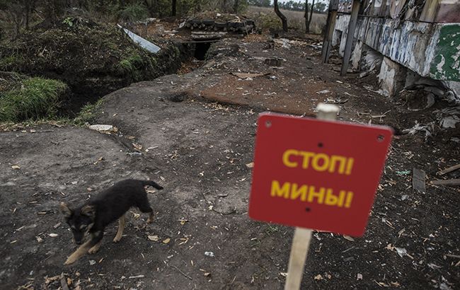 На Донбассе из-за подрыв на минах погибли более тысячи людей, - ООН