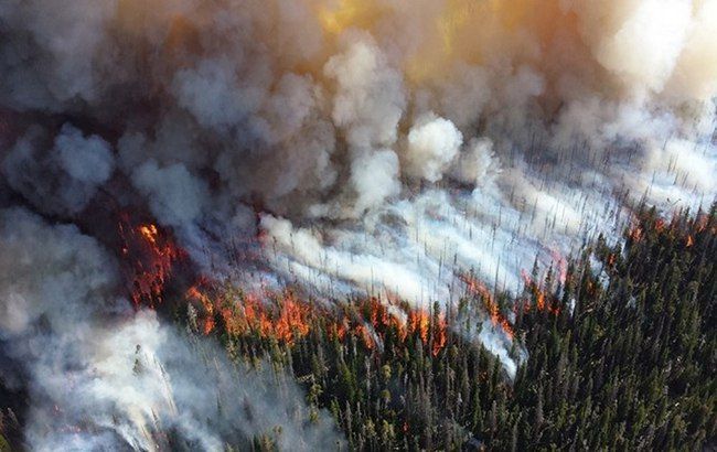 В Херсонской области за сутки произошло 4 пожара в экосистемах на площади 2 га