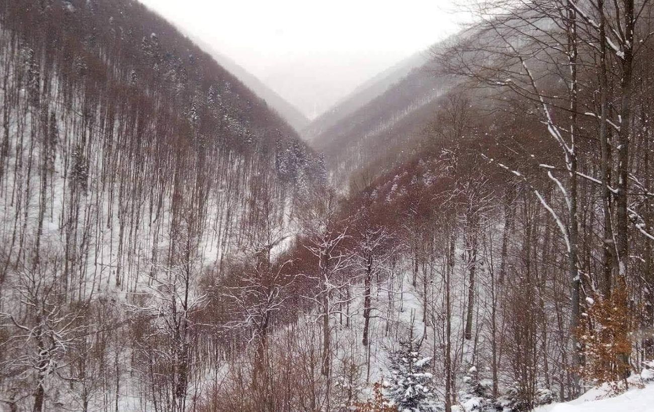 Первый снег в Украине ожидается уже на этой неделе: где именно
