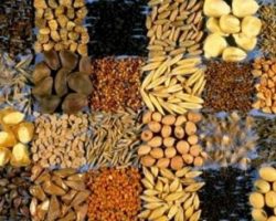 Продажа удобрений и растительных семян