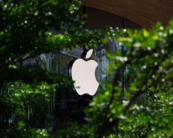 Apple презентует новый iPhone SE с поддержкой 5G в начале весны, - Bloomberg